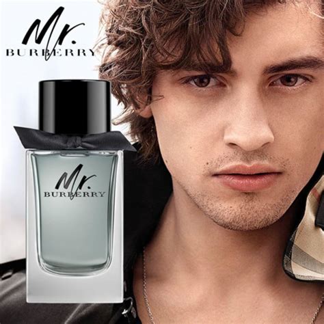 mr burberry modelo|burberry it boy.